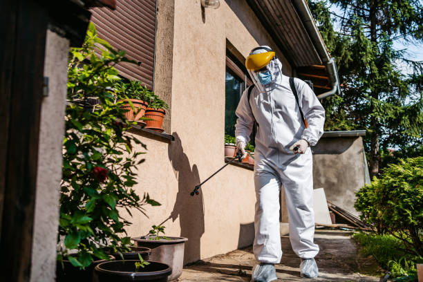 Best Pest Prevention Services  in Lathrop, MO
