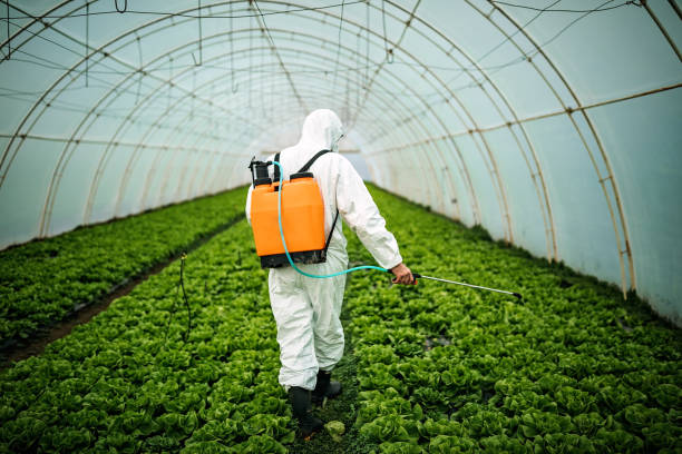 Best Affordable Pest Control Services  in Lathrop, MO