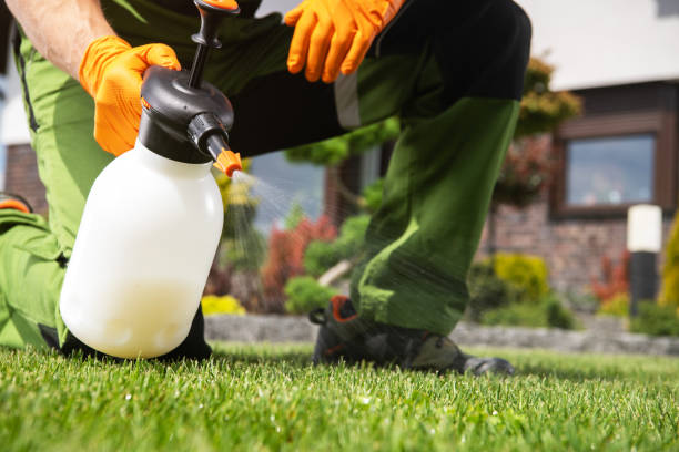 Flea Control Services in Lathrop, MO