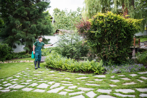 Best Affordable Pest Control Services  in Lathrop, MO