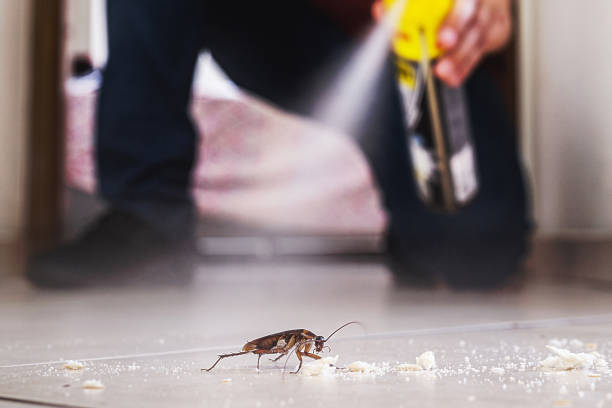 Best Pest Removal Services  in Lathrop, MO