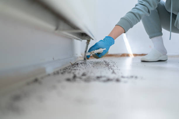 Trusted Lathrop, MO Pest Control Experts